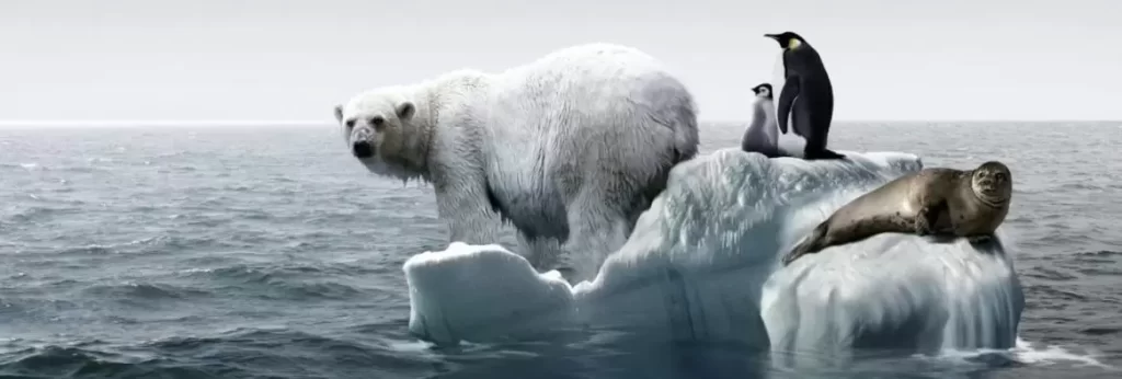 İklim Değişikliği: Sanayi Kuruluşlarını Neler Bekliyor? 1 iklim degisikligi sanayi kuruluslarini neler bekliyor